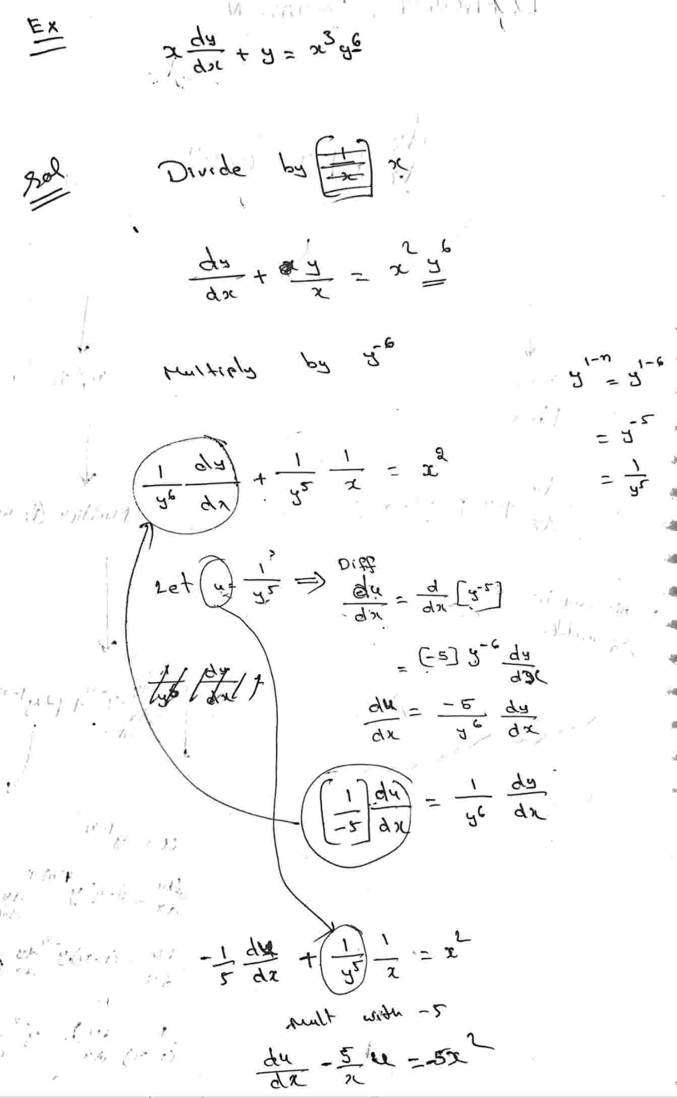 differential equation