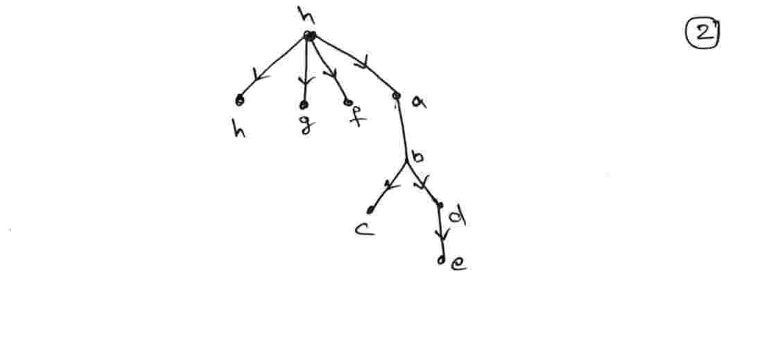 Rooted Tree